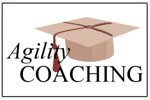 Agility Courses1