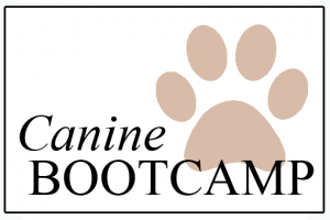 Canine Bootcamp1