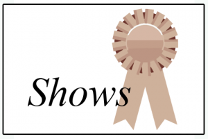 Shows gallery